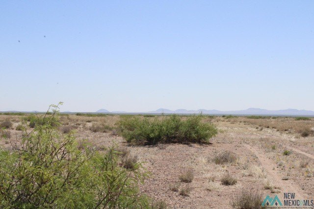Picture 4