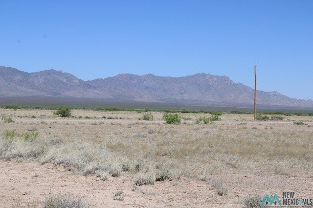 Picture 12