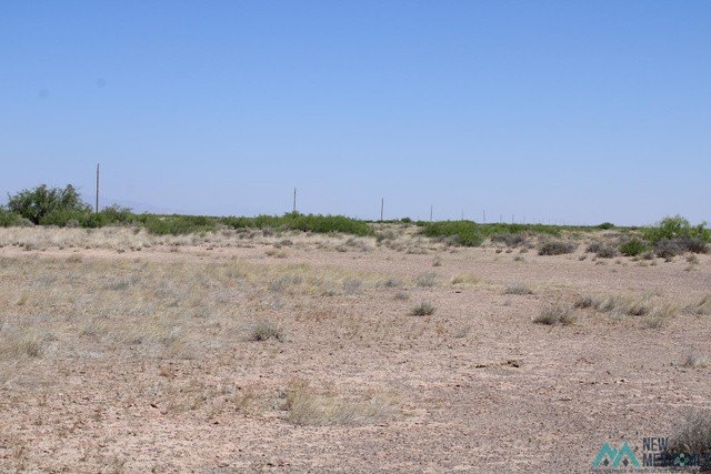 Picture 14