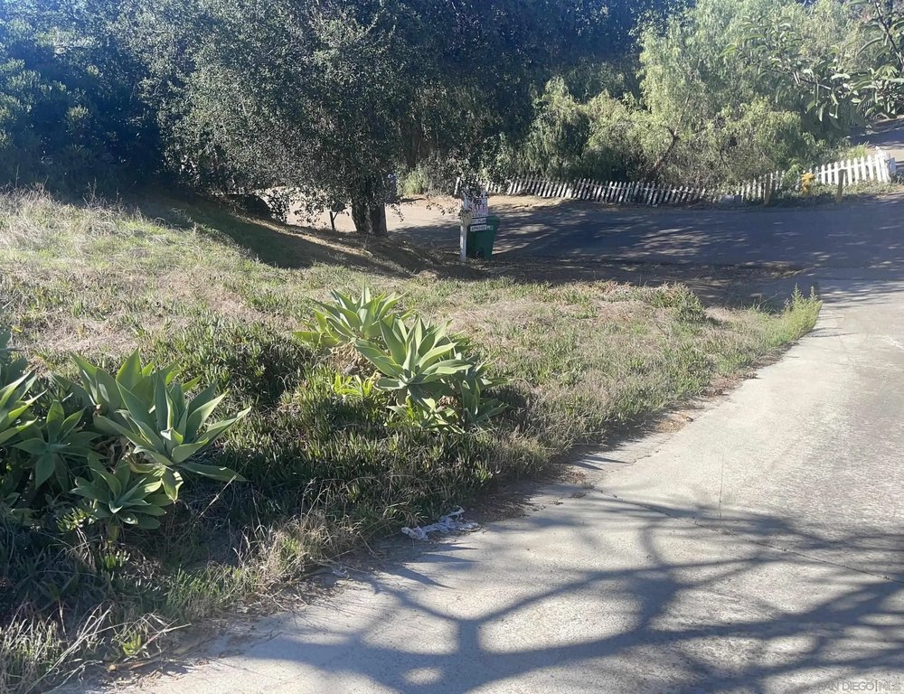 Picture 10