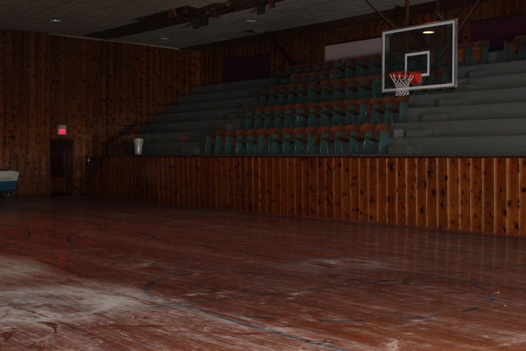 Picture 5
