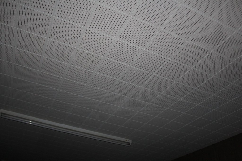 Picture 32