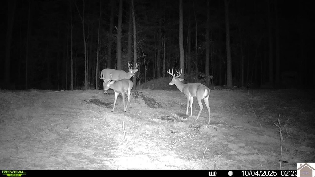 Picture 4