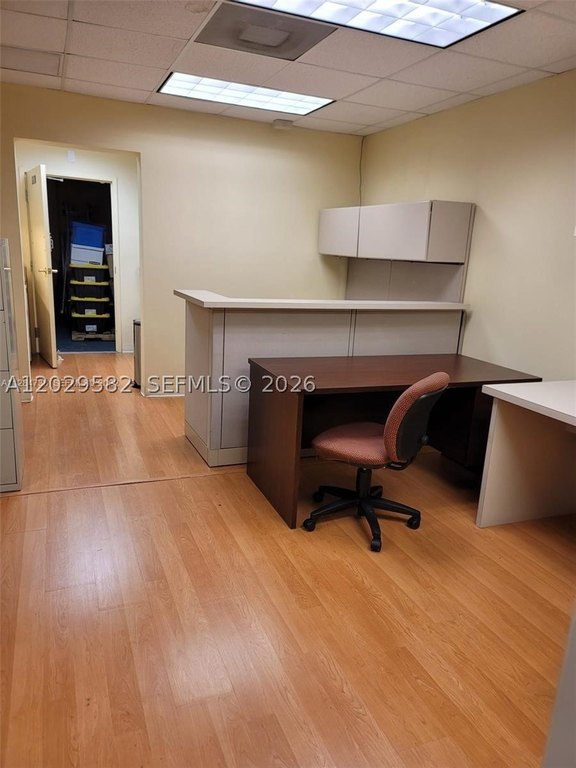 Picture 11