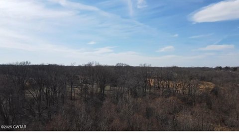 Stanton, TN Land Opportunity