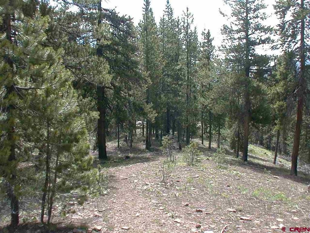 Picture 11