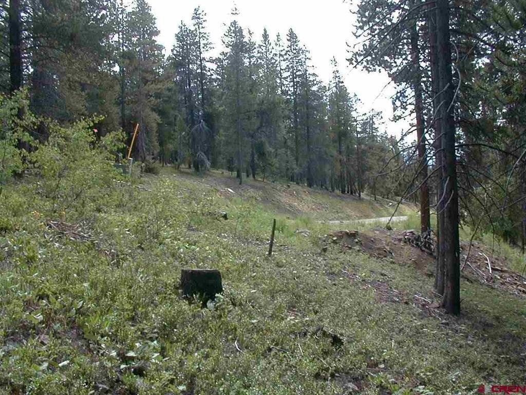 Picture 13
