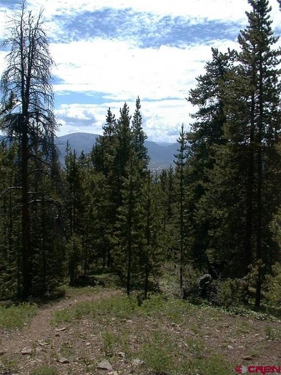 Picture 14