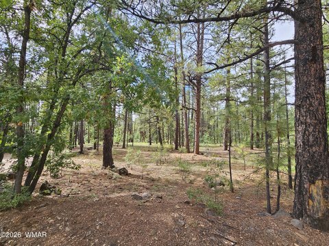 Land, Pinetop, AZ