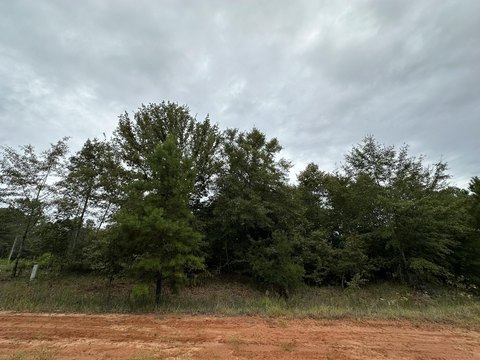 Land, Louisville, GA