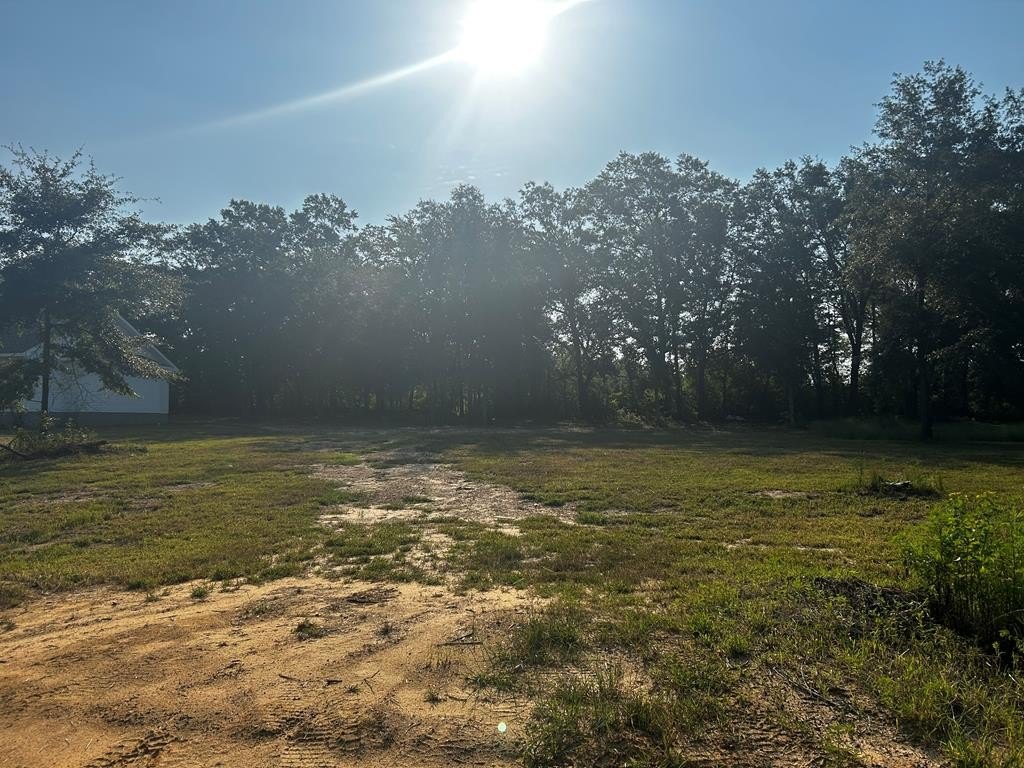 Residential Lot in Ashford, AL