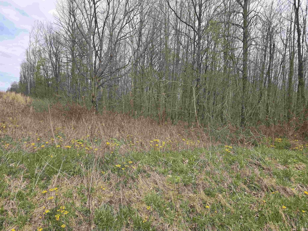 Picture 10