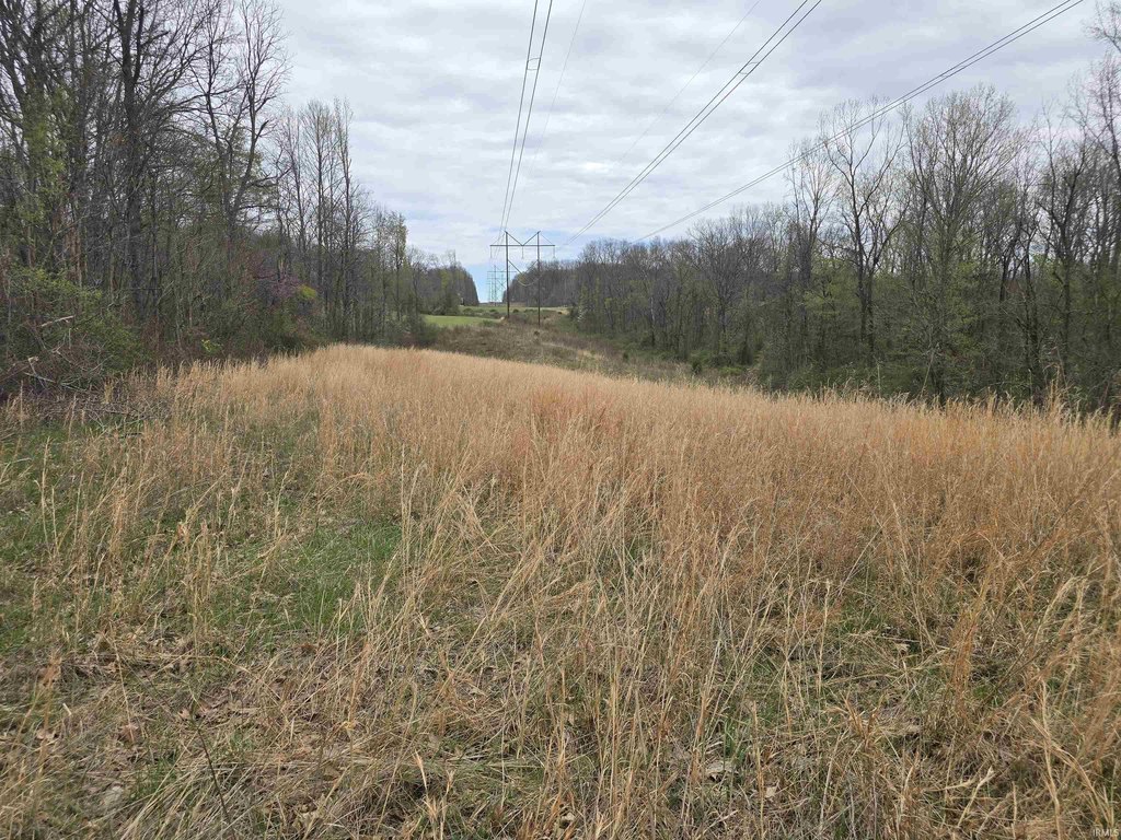 Picture 9