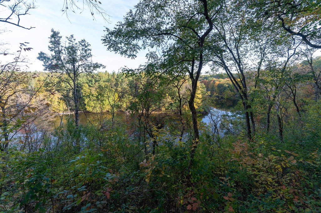 Picture 25