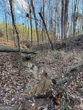 Covington, GA Development Land