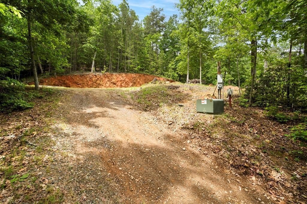 Picture 2