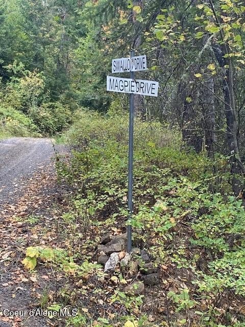 Recreational Land Near Black Lake