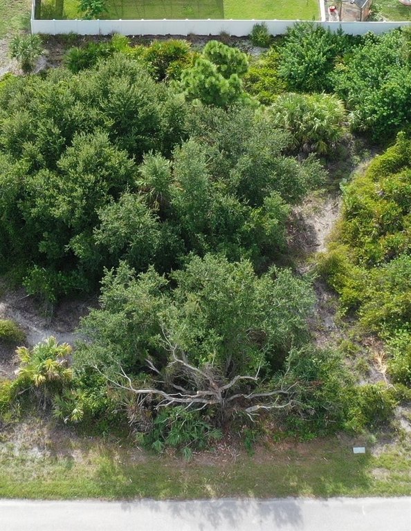 Picture 2