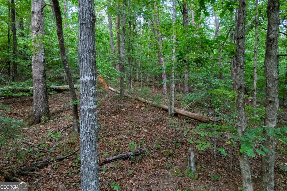 Talking Rock Mountain Retreat Land