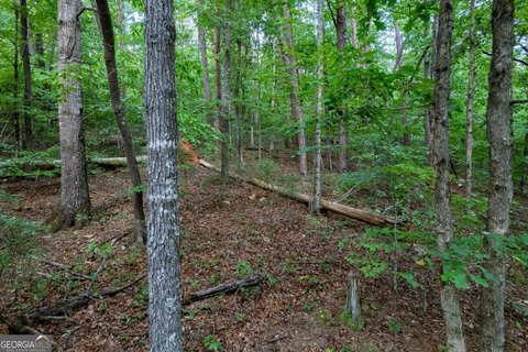 Talking Rock Mountain Retreat Land