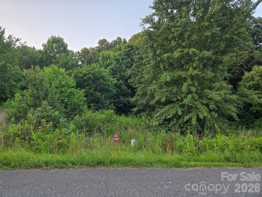 Picture 3