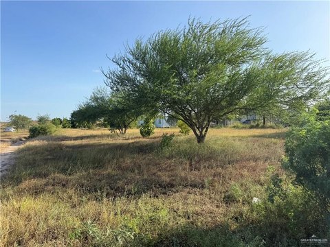 LAND - Edcouch, TX