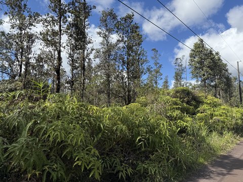Secluded Lot in Hawaiian Acres