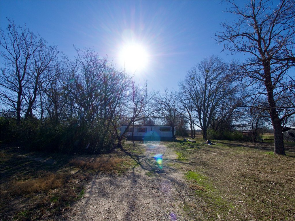 Picture 9