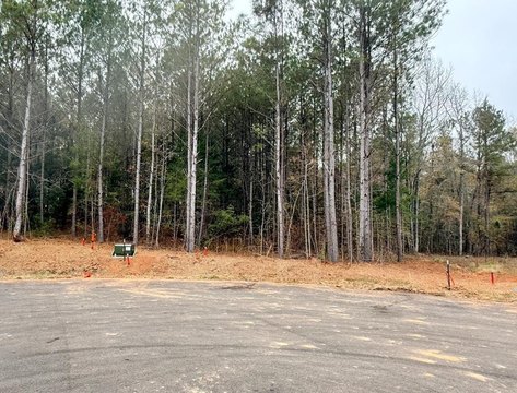 Waverly Hall Land For Sale