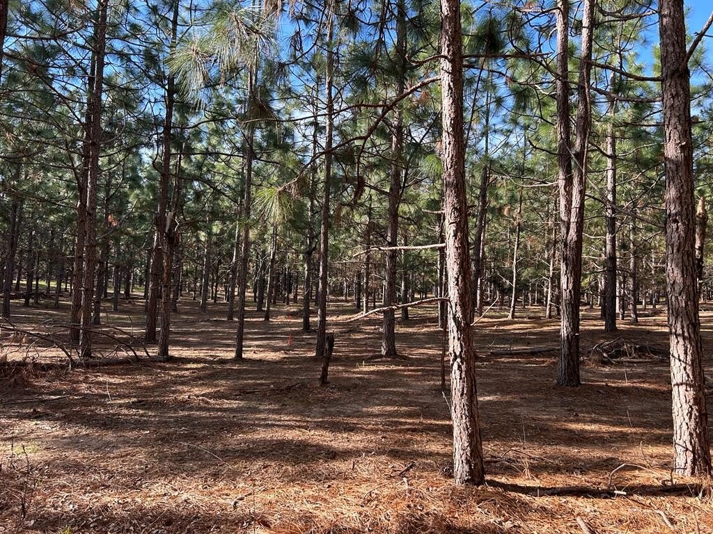 Residential Land in Headland, AL