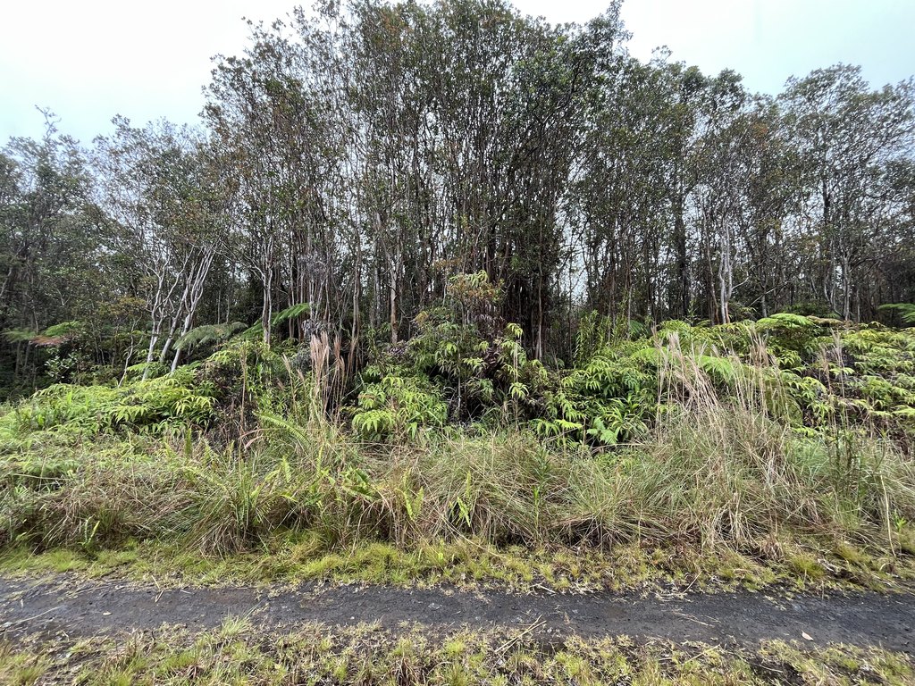 Picture 4