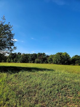 Land, Decatur, TN