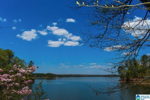 LAND - WEDOWEE, AL
