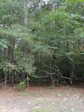 Land, HEATHSVILLE, VA