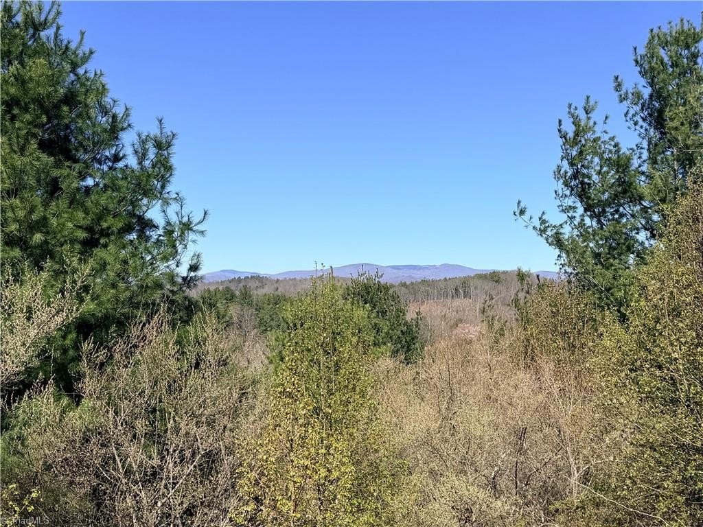 Piney Creek Land with Views