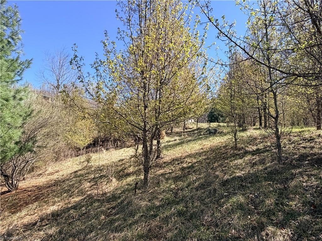 Picture 19