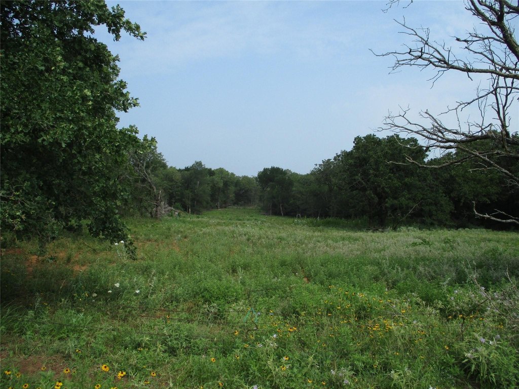 Picture 4