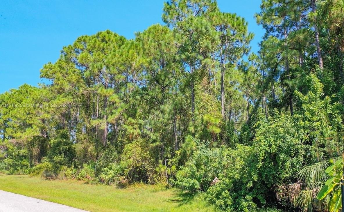 Oversized Double Lot Opportunity