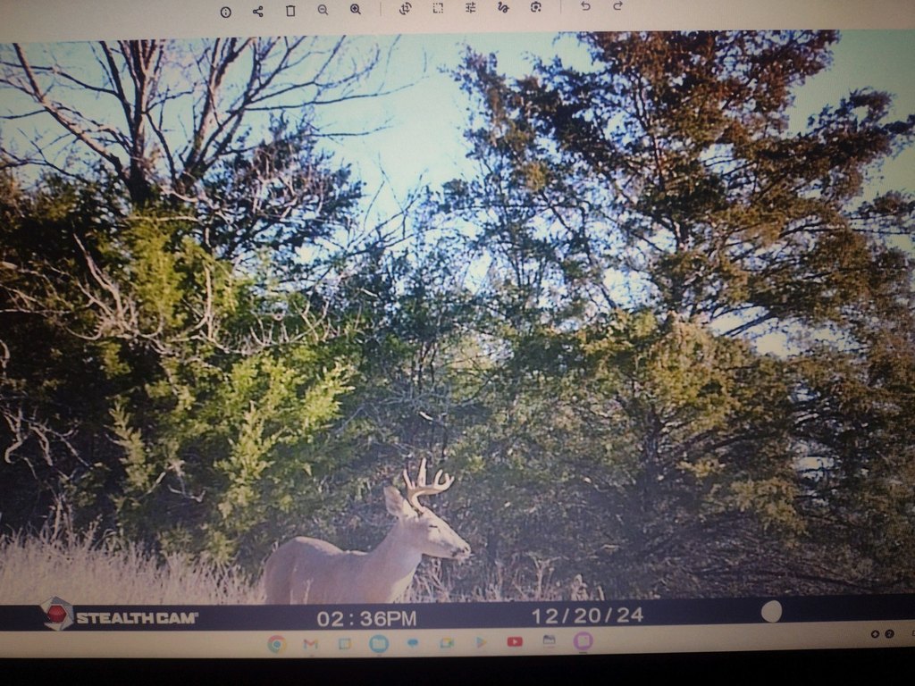 Picture 4