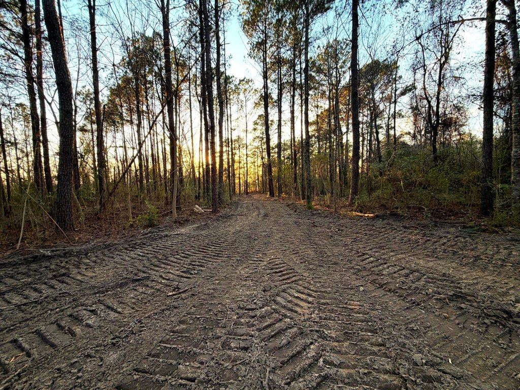 Picture 9