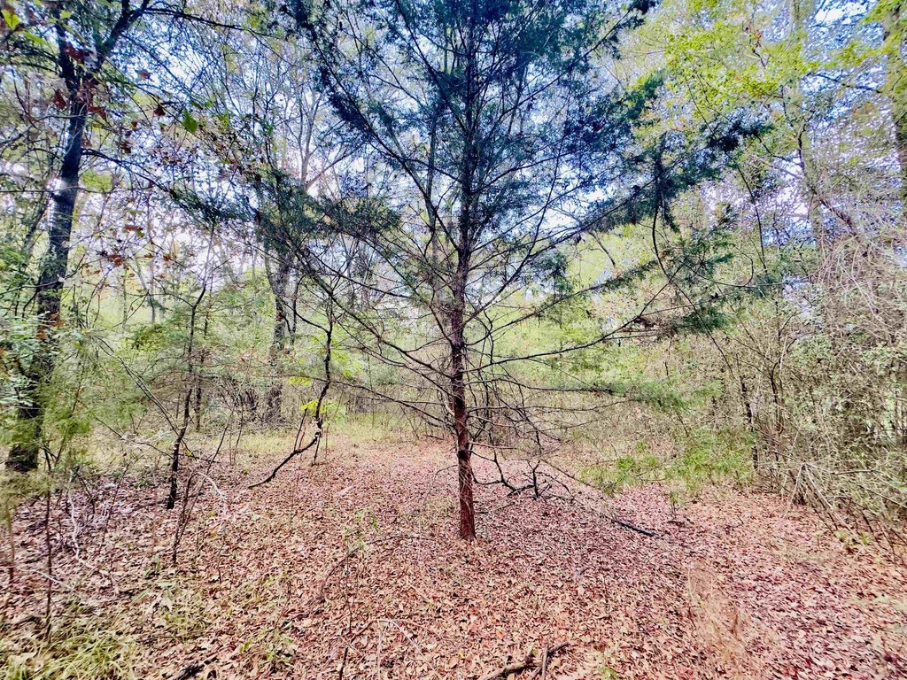 Picture 8
