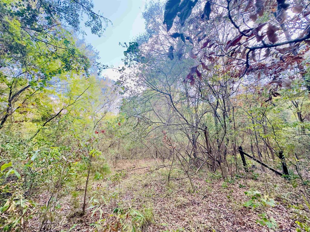 Picture 18