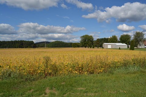 B-4 Zoned Commercial Land