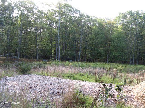 Wooded Land Near Lake Wallenpaupack