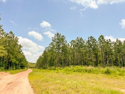24 Acres of Unimproved Land