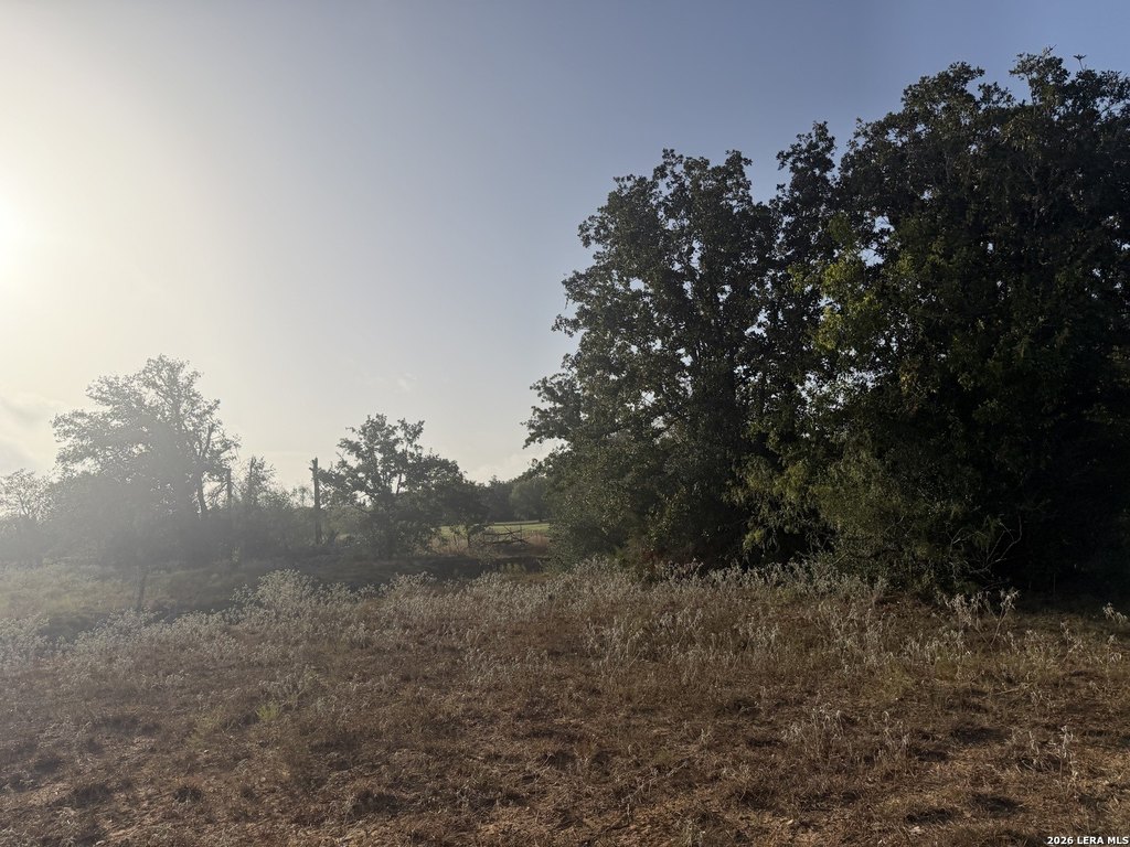 Picture 10
