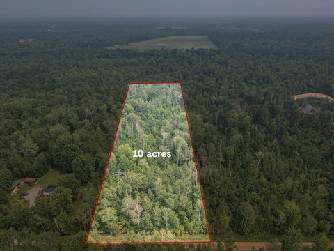 Wooded 10-Acre Recreational Land