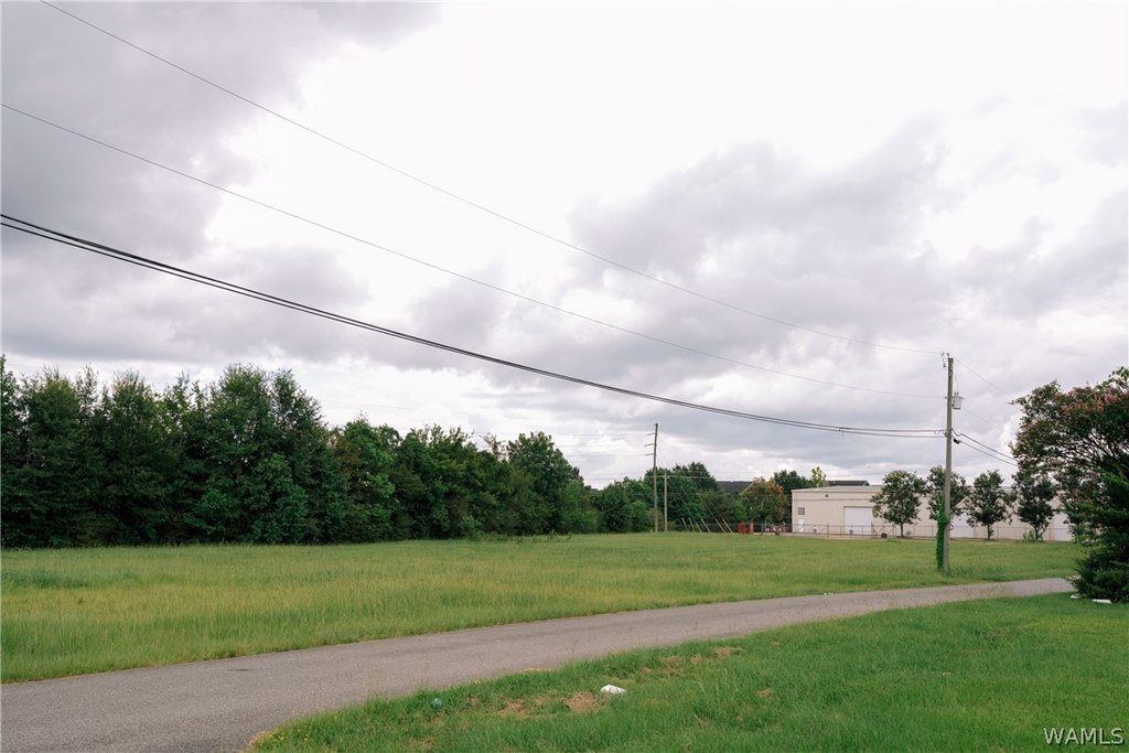 Picture 29