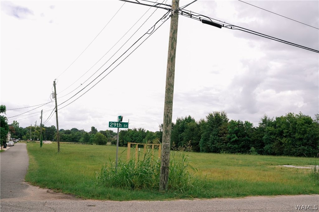 Picture 35