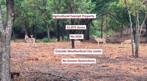 11+ Acre Retreat Near Weatherford